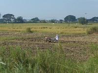 2 - Kyaikhtiyo  (Rocher d'or) - Lac Inle (15)